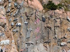 -西霞口神雕山野生动物世界