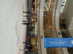 -冰纷万象滑冰场(二七万象城店)