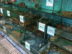 水产区-范饭椰林川湘味海鲜·椰子鸡(三亚湾椰梦长廊店)