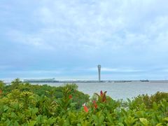 -上海吴淞炮台湾国家湿地公园
