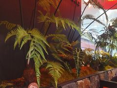 -芸山季·云南山珍菌火锅(人民广场来福士店)