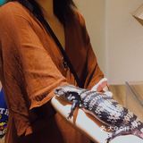 适合所有人的萌宠乐园