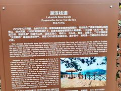 -广州市流溪河国家森林公园