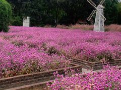 -玫瑰海岸文化旅游度假区