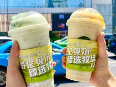 -茉酸奶(春熙路店)