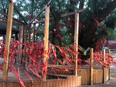 -北海金海湾红树林生态旅游区