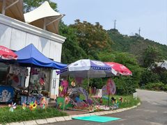 -燕塞湖鸟语林景区