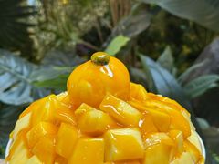 -劳顶笨Rotty Bun(青岛城阳店)