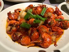 -巴厘龙虾·榜首油焖大虾(音乐学院·沿江酒馆店)