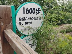 -大岭沟猕猴桃谷风景区
