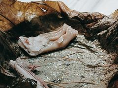 -岭南真味·匠心粤菜(K11店)