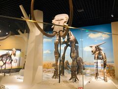 -国家自然博物馆