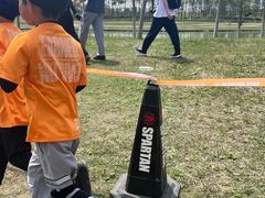 -春花秋色城市公园