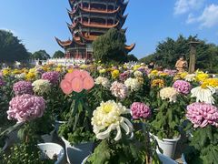 -富乐山
