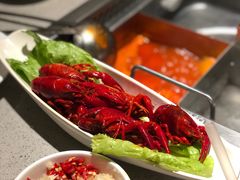 -海底捞火锅(群光广场店)