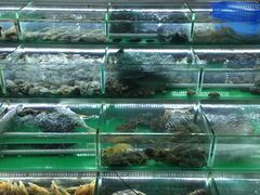 -覃记海鲜美食餐厅