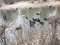 -长白岛森林公园