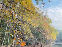 -青龙山国家森林公园