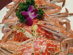 -海通1号(梅峰店)