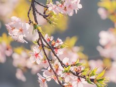 -堤角公园