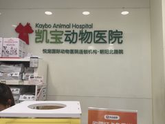 -悦宠凯宝动物医院·牙科·皮肤科(朝阳北路店)
