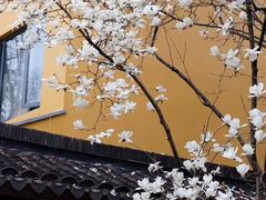 -龙华寺