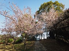 -同济大学(嘉定校区)