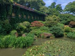 -中国茶叶博物馆(双峰馆区)