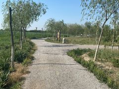 -西青郊野公园