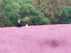 -嘉北郊野公园