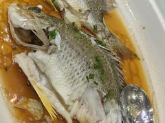 -庭苑美食中心·陈皮烧鹅·海鲜(台山店)