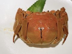 -苏小柳点心·手作小笼包(新街口分院店)