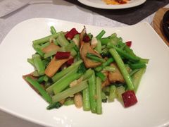 烤蘑炒菜心-北李妈妈菜·海肠捞饭(高新万达店)