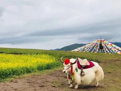 -扁都口生态休闲旅游区