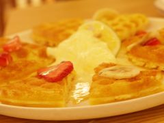 -豆柴町-柴犬主题狗咖(红鼎国际C座店)