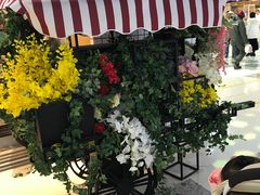 -LELECHA乐乐茶(上海五角场万达广场店)