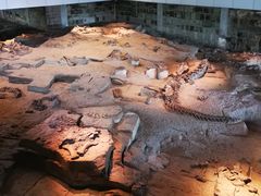 -自贡恐龙博物馆