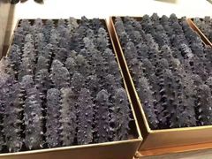 -三江源牌冬虫夏草(中山北路店)