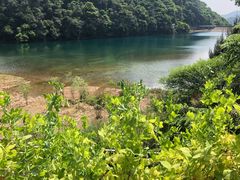 -午潮山国家森林公园