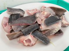 鸭嘴鱼-渔文乐农庄