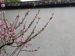 -乌山风景区