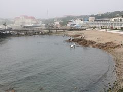 -北戴河碧螺塔海上酒吧公园