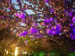 -苏州河梦清园环保主题公园