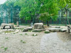 -上海野生动物园
