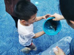 -重庆长寿碧桂园凤悦凤凰酒店