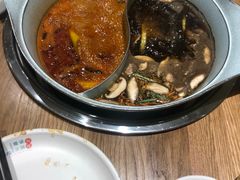 -青瓷火锅料理(西单大悦城店)