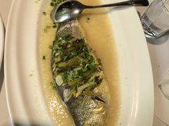 -老洋房花园饭店(绍兴路店)