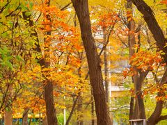 -长春市南湖公园