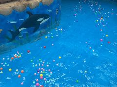 -青岛东方影都融创水世界