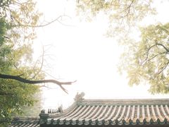 -北京国子监胡同